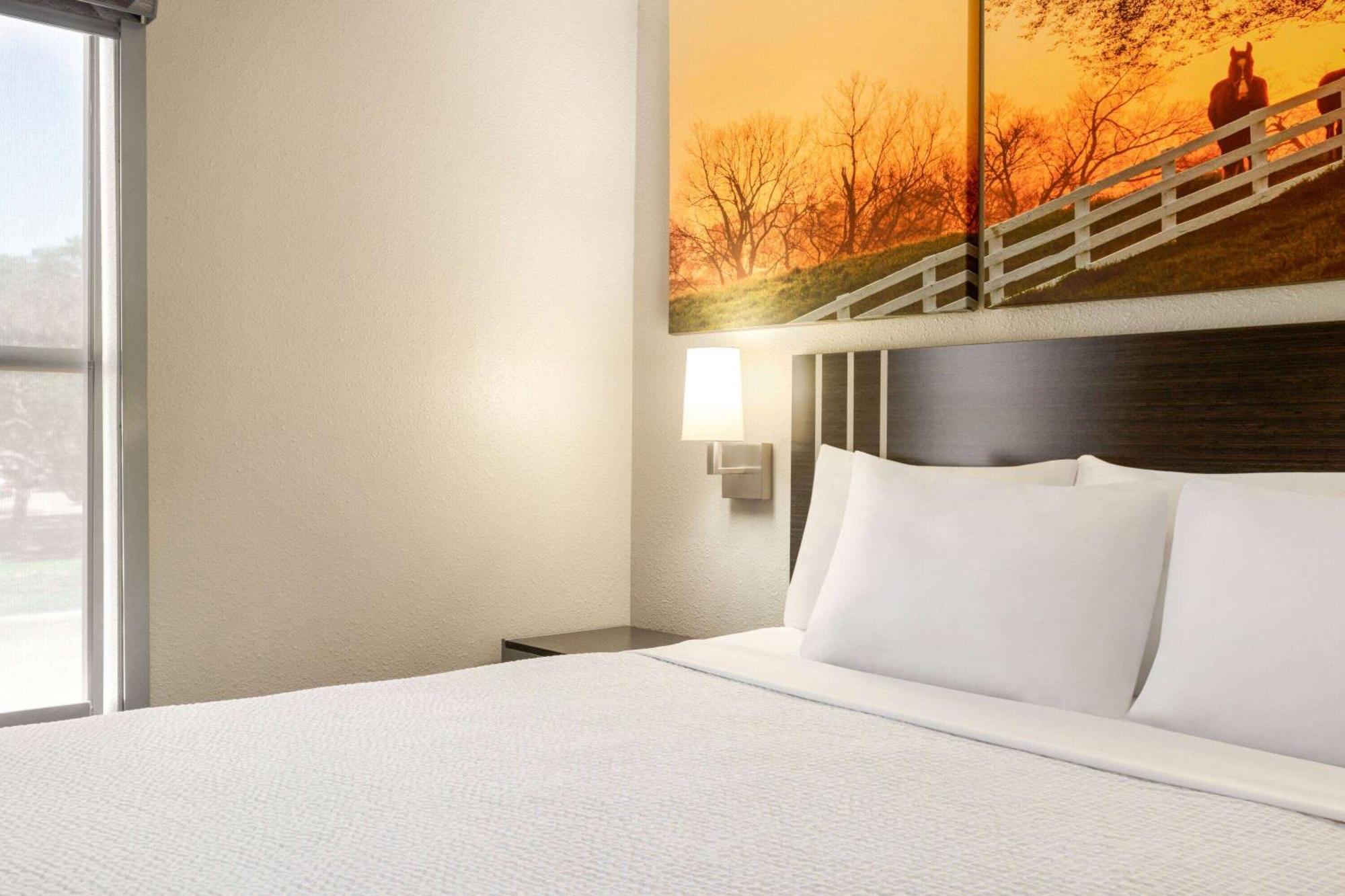Days Inn By Wyndham San Antonio Near Fiesta Park Extérieur photo