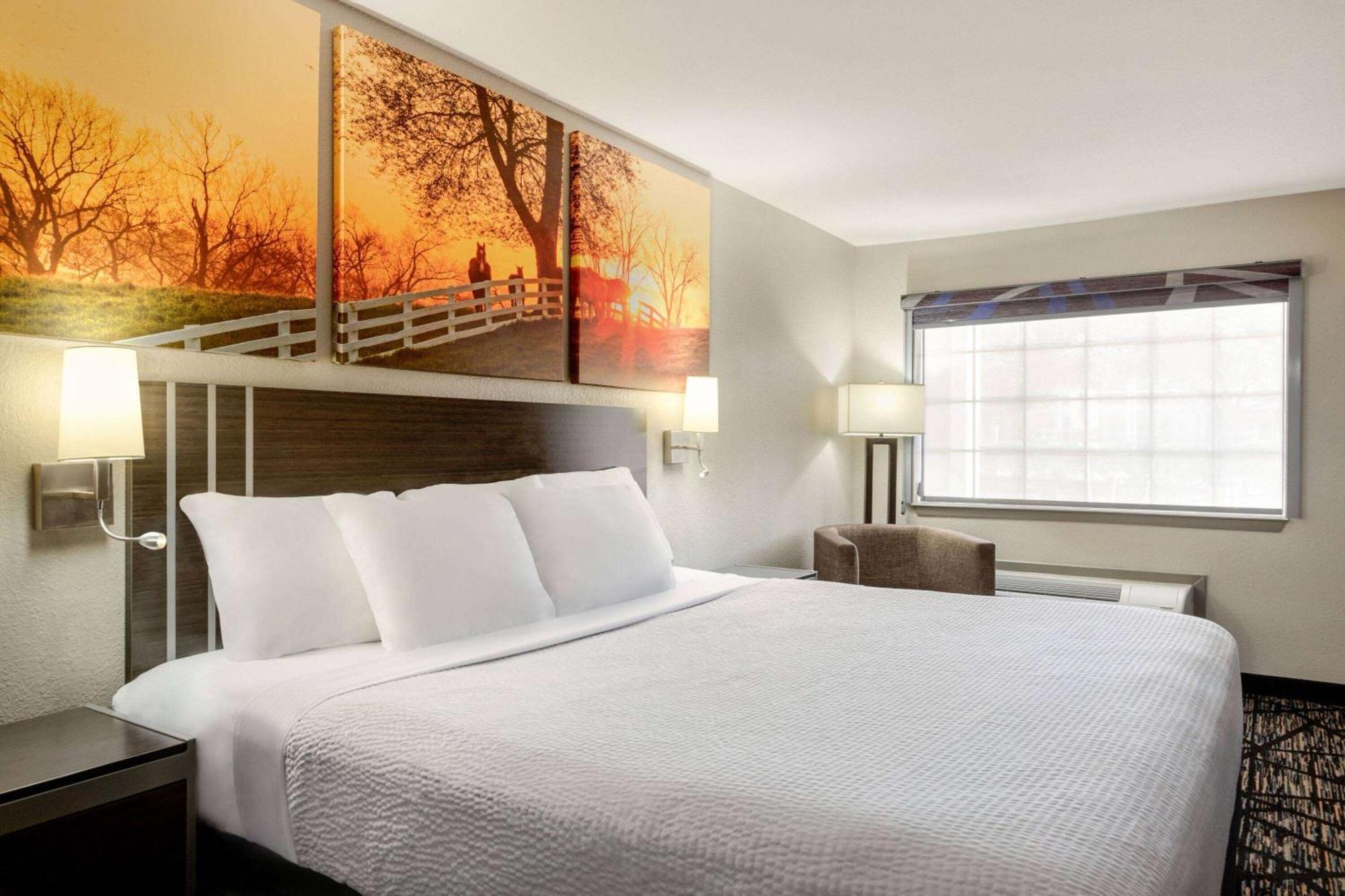 Days Inn By Wyndham San Antonio Near Fiesta Park Extérieur photo